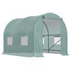 Easycomfort Serra da Giardino Telaio in Acciaio e 4 Finestre in PE 2.5x2x2m, Verde