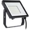 Philips FARO PROIETTORE PHILIPS DA ESTERNO,IN METALLO NERO, 30W 6500K
