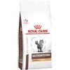 Royal Canin Gastrointestinal Hairball 400g Crocchette Gatti