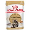 Royal Canin Maine Coon per Gatto Adult da 85g