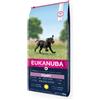 Eukanuba Puppy Large al Pollo 15KG