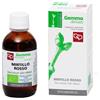 FITOMEDICAL Srl MIRTILLO ROSSO MG BIO 50ML FTM