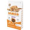 Iams Gatto Hairball Pollo 3KG