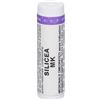 Laboratorio Sodini Srl LABORATORIO SODINI Silicea Granuli Mk Contenitore Monodose Globuli