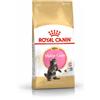 Royal Canin cat kitten maine coon 400 g