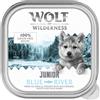 Wolf of Wilderness JUNIOR Duo-Protein 6 / 24 x 150 g umido cane - 24 x 150 g Blue River - Pollo & Salmone