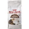 Royal Canin C-584987 età + 12-2 kg