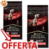 Purina Dog Pro Plan Veterinary Diets DM Diabetes Management - Offerta [PREZZO A CONFEZIONE] Quantità Minima 2, Sacco Da 12 Kg