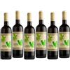 Telaro Falanghina Tardiva 2023 Roccamonfina Igt 75 cl 6 Bottiglie