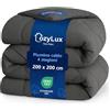 CozyLux Piumone Una Piazza e Mezza 200x200 cm per 4 Stagioni, Piumone Letto in Microfibra 300 g/m², Trapunta Invernale 200 x 200, Morbido, Caldo e Traspirante, Lavabile in Lavatrice, 200x200, Grigio