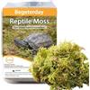 Begeterday 99g di Puro Muschio Naturale per Tartarughe, Accessorio Ideale per Le tartarughiere, Ottimo per Mantenere l'umidità e Il Calore in Inverno