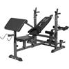 GYRONETICS® Panca Pesi Multifunzione - Portabilanciere, Schienale Regolabile, 165 x 139 x 128cm, Carico Max 280kg, Stazione a Dip, Butterfly, Panca Scott, Curl per Gambe - Palestra e Casa, Allenamento