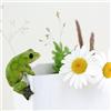 Top Collection 4283 - Vaso da Fiori e Vaso in Miniatura con Rana, da Giardino e terrario, Mini