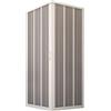 FORTE Nuovo Box Doccia FLEX, Soffietto Angolare, 100 x 100 x 185 h. Riducibile