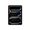 Apple - iPad Pro 11'' Wi-fi 1tb Standard Glass-nerosiderale
