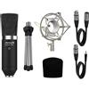 Audibax Berlin 1800 Silver - Microfono a Condensatore da Studio - Risposta in Frequenza 20 Hz/20 KHz - Microfono Professionale con Schema Polare Cardioide - Diaframma Largo - Colore Argento