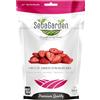 Seba Garden Fragole liofilizzate premium, gustose fragole europee non OGM e vegane (100 g)