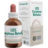 FORZA VITALE ITALIA Srl FV.LES CARPINUS BETULUS 50ML M