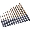 Amtech Am-tech 1/4-inch Rivestito in Titanio Set Punte Trapano HSS - trasparente, One Size