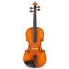EASTMAN VIOLINO 4/4 EASTMAN VL150 SBC S.EASTMAN CON ASTUCCIO ED ARCO