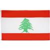 AZ FLAG Bandiera Libano 90x60 cm Libanese Poliestere 100D 2 Occhielli | Uso interno ed esterno bandiera decorativa لبنان doppie cuciture e bordi rinforzati con occhielli metallici