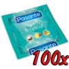 Pasante Tropical Kokos 100 pack