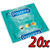 Pasante Tropical Mango 20 pack