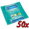 Pasante Tropical Mango 50 pack