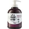 Beauty Application SOS COLOR&GO MASCHERA COLORATA RAVVIVA COLORE VIOLA 300 ML