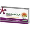 SCHWABE PHARMA ITALIA Srl Kalobagola 20 compresse