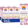 ISOLA BIO Mandorla Barista Biologica 6x1L