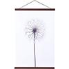 Ywlake Sanauto Cornice a guida magnetica in legno per poster, supporto magnetico per poster, supporto per cornici, per immagini e fotografie, 25 x 50 cm (25 cm, noce)