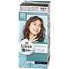 Liese Kao Liese Prettia Bubble Hair Dye # New York Ash