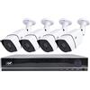 PNI Kit videosorveglianza AHD PNI House PTZ1300 Full HD - NVR e 4 telecamere da esterno 2MP full HD 1080P con HDD 1Tb incluso