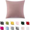 ATsense Federe Cuscino Letto Set Di 2, 40x40 cm 100% Cotone, Federe Cuscino Con Cerniera, Federa Morbidissima, Certificata Oekotex, Adatta a Chi Soffre Di Allergie, Rosa