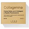 Collagenina Crema Notte Rimpolpante Rassodante con 6 Collageni (Crema Notte Grado 1)