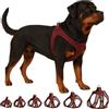 Flamingo Step-Go Bento Pettorina - Melanzana, XXL (A:52-57 cm, B:56-62 cm, 3 mm), Comoda e Regolabile, Ideale per Labrador, Golden Retriever, Dalmata, Boxer ecc.