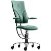 Sedia posturale SpinaliS Apollo, metallo-cromato, r604-verde-dark