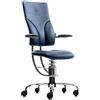 Sedia posturale SpinaliS Apollo, metallo-cromato, r500-blu-scuro