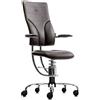 Sedia posturale SpinaliS Apollo, metallo-cromato, r824-marrone-brown