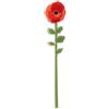 Vesta FUNNY FLOWERS, fiore in plexiglas Papavero grande