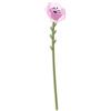 Vesta FUNNY FLOWERS, fiore in plexiglas Petunia grande
