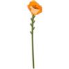 Vesta FUNNY FLOWERS, fiore in plexiglas Petunia piccolo