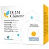 DDM CHINONE 30BUSTINE