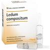 LEDUM COMP 10F 2,2ML HEEL