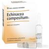 ECHINACEA COMP S 10F 2,2MLHEEL