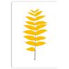 Magis Leaves Serigrafia Juglans nigra - Noce americano
