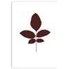 Magis Leaves Serigrafia Juglans - Noce
