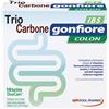 TRIOCARBONE GONFIORE IBS 10BUS