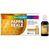 MASSIGEN PAPPA REALE 10FL 25ML